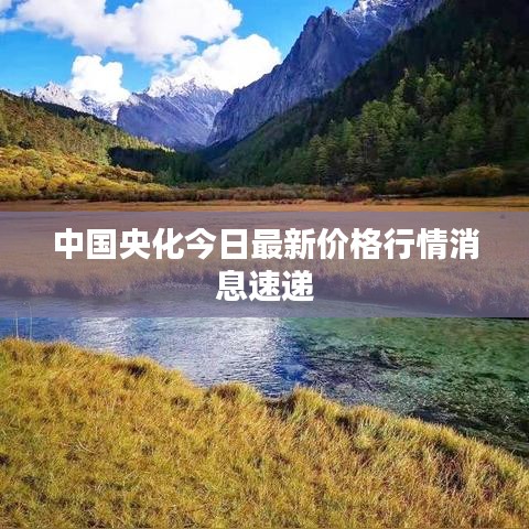 中國(guó)央化今日最新價(jià)格行情消息速遞