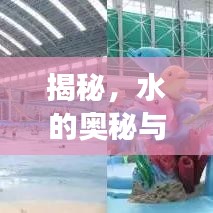 揭秘，水的奧秘與未知探索之旅