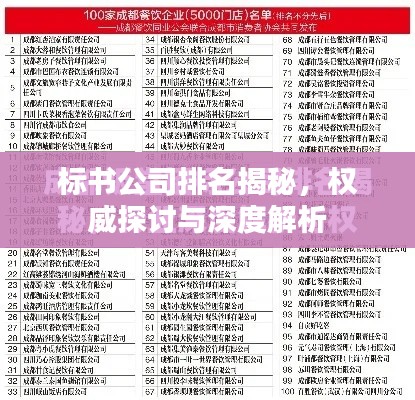 標書公司排名揭秘，權(quán)威探討與深度解析