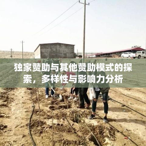 獨(dú)家贊助與其他贊助模式的探索，多樣性與影響力分析