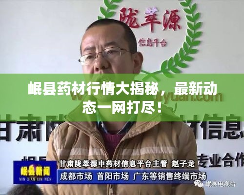 岷縣藥材行情大揭秘，最新動態(tài)一網(wǎng)打盡！