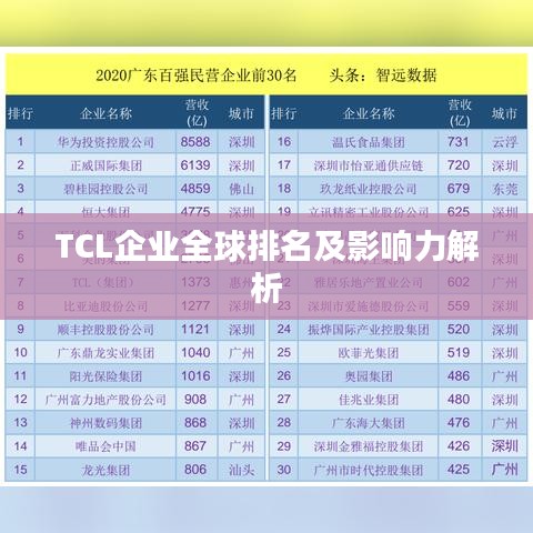 TCL企業(yè)全球排名及影響力解析