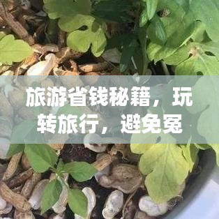 旅游省錢秘籍，玩轉(zhuǎn)旅行，避免冤枉錢支出攻略！
