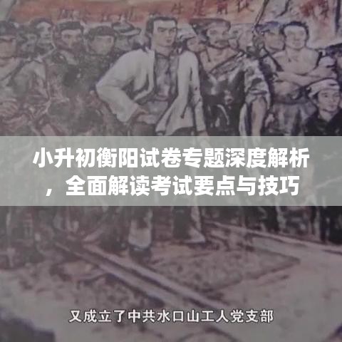 小升初衡陽(yáng)試卷專題深度解析，全面解讀考試要點(diǎn)與技巧
