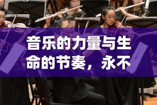 音樂的力量與生命的節(jié)奏，永不斷的琴弦之魅力