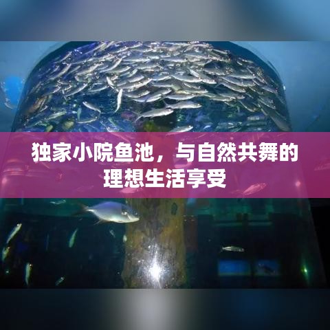 獨(dú)家小院魚(yú)池，與自然共舞的理想生活享受