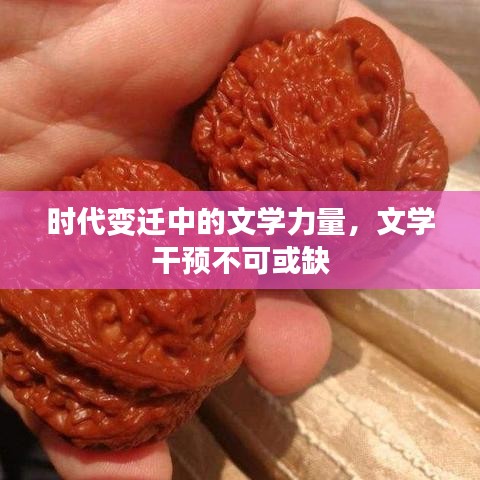 時(shí)代變遷中的文學(xué)力量，文學(xué)干預(yù)不可或缺