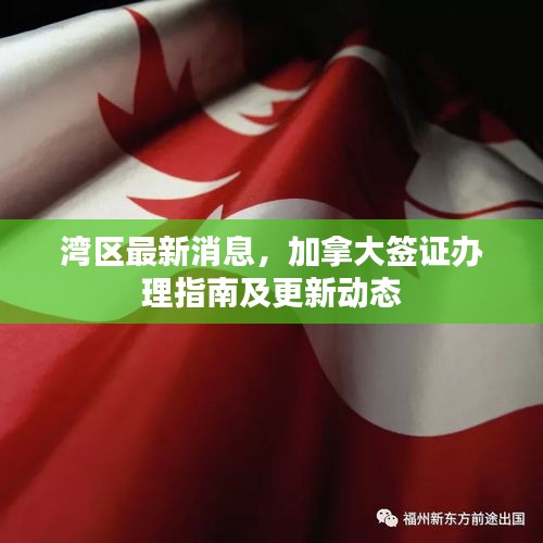 灣區(qū)最新消息，加拿大簽證辦理指南及更新動(dòng)態(tài)