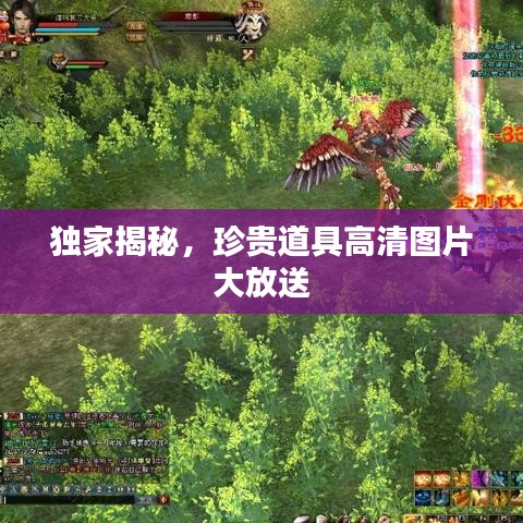 獨(dú)家揭秘，珍貴道具高清圖片大放送