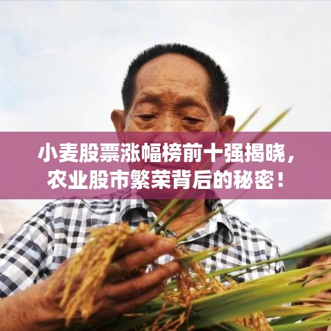 小麥股票漲幅榜前十強(qiáng)揭曉，農(nóng)業(yè)股市繁榮背后的秘密！