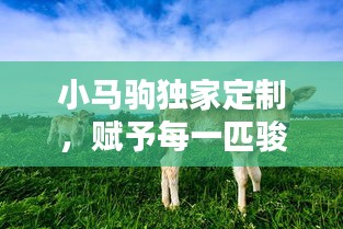草間求活