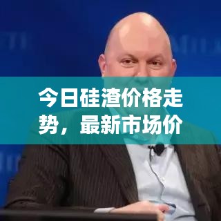 今日硅渣價格走勢，最新市場價格分析與預測