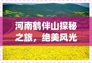河南鶴伴山探秘之旅，絕美風(fēng)光與深度體驗(yàn)攻略