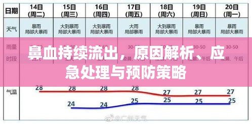 鼻血持續(xù)流出，原因解析、應(yīng)急處理與預(yù)防策略