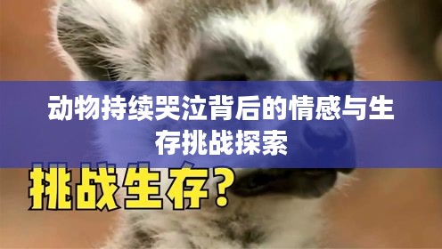 設(shè)身處地