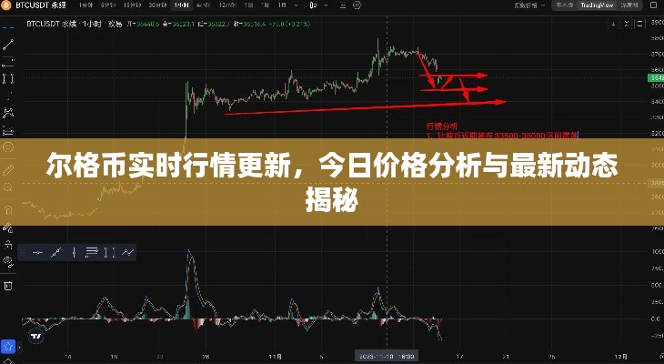 爾格幣實時行情更新，今日價格分析與最新動態(tài)揭秘