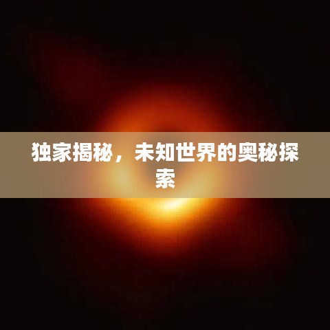 獨(dú)家揭秘，未知世界的奧秘探索