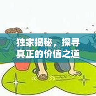獨(dú)家揭秘，探尋真正的價(jià)值之道