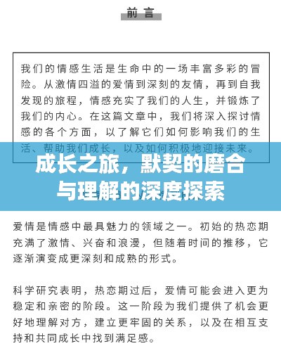 成長(zhǎng)之旅，默契的磨合與理解的深度探索