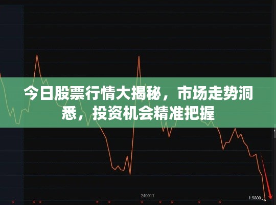 今日股票行情大揭秘，市場走勢洞悉，投資機(jī)會精準(zhǔn)把握
