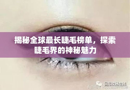 天南地北