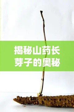 學貴有疑