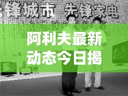 囫圇吞棗