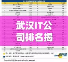 武漢IT公司排名揭秘，十大領(lǐng)先企業(yè)榜單