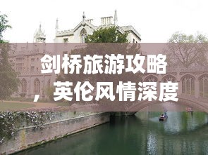 飛揚(yáng)撥扈