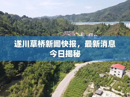 遂川草橋新聞快報(bào)，最新消息今日揭秘