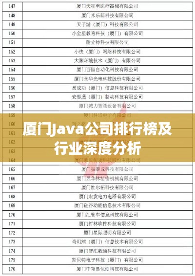 廈門Java公司排行榜及行業(yè)深度分析