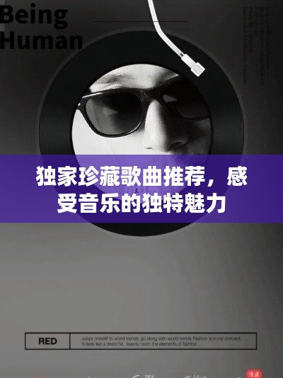獨家珍藏歌曲推薦，感受音樂的獨特魅力
