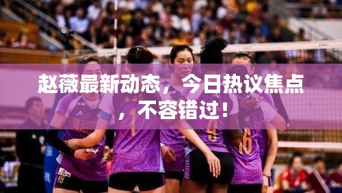 趙薇最新動態(tài)，今日熱議焦點(diǎn)，不容錯過！