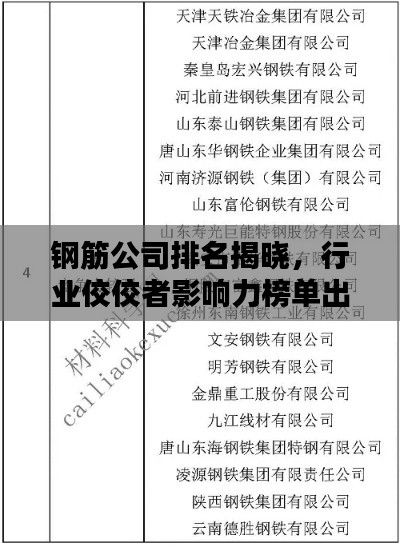 鋼筋公司排名揭曉，行業(yè)佼佼者影響力榜單出爐！