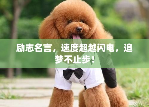 勵(lì)志名言，速度超越閃電，追夢(mèng)不止步！