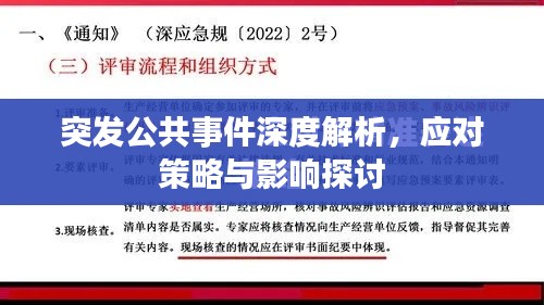 突發(fā)公共事件深度解析，應(yīng)對(duì)策略與影響探討