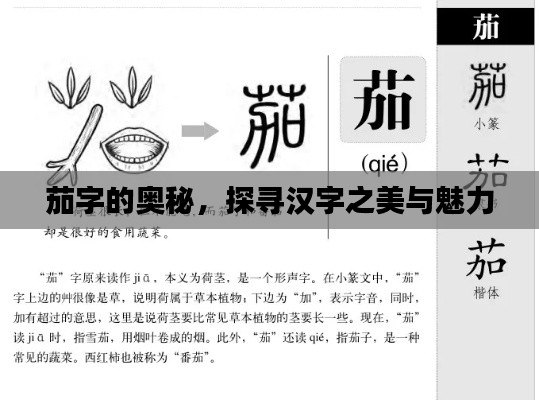 茄字的奧秘，探尋漢字之美與魅力