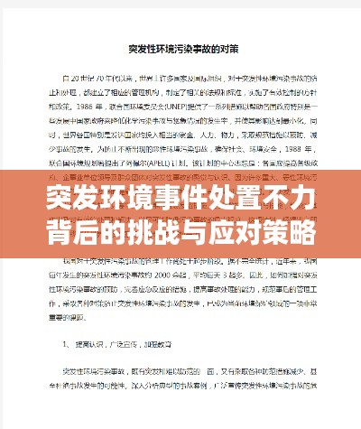 突發(fā)環(huán)境事件處置不力背后的挑戰(zhàn)與應(yīng)對策略