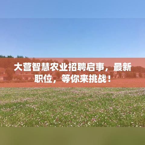 專心致志