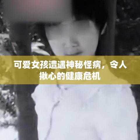 金石為開(kāi)