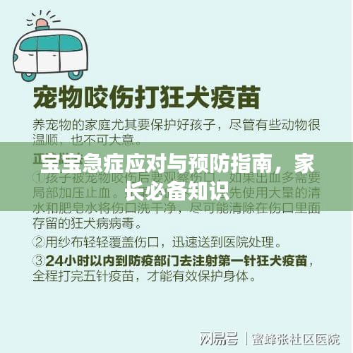 寶寶急癥應(yīng)對與預(yù)防指南，家長必備知識