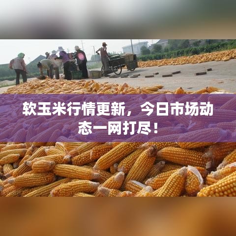 集腋成裘