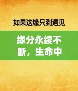 緣分永續(xù)不斷，生命中的奇妙相遇與心靈連結(jié)