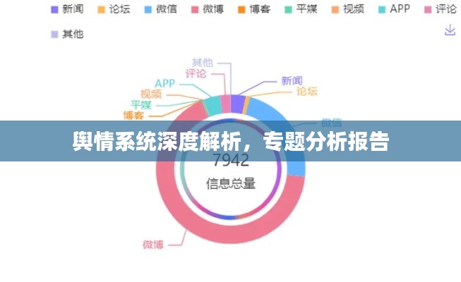 輿情系統(tǒng)深度解析，專題分析報告