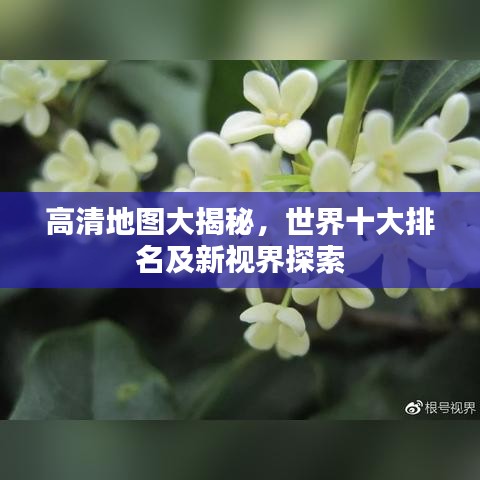明目張膽