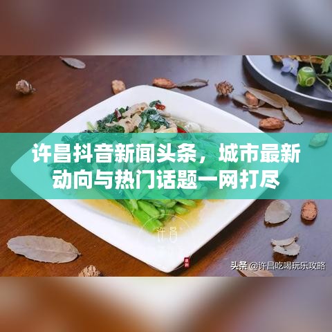 正襟危坐