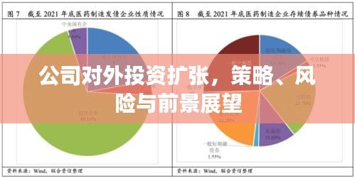 公司對(duì)外投資擴(kuò)張，策略、風(fēng)險(xiǎn)與前景展望