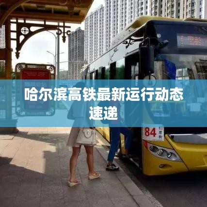 哈爾濱高鐵最新運(yùn)行動態(tài)速遞