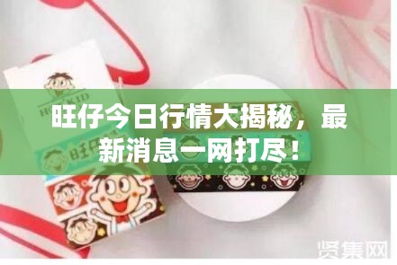 百不得一