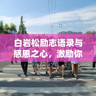 白巖松勵志語錄與感恩之心，激勵你前行的力量之源